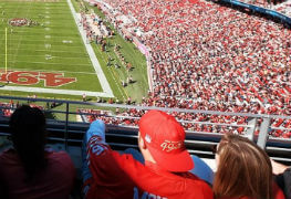 Stadium crowd